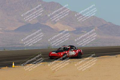 media/Oct-14-2023-Lucky Dog Racing (Sat) [[cef75db616]]/Turn 12 Exit-Bowl Backside (230pm)/